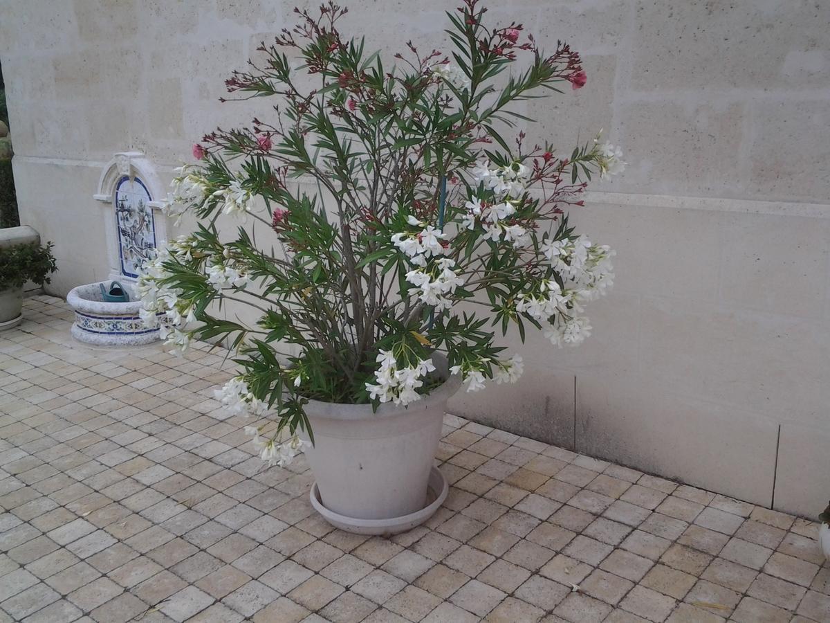 Bed and Breakfast Le Moulin Pontoise-les-Noyon Exterior foto